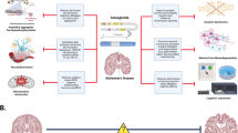 evoke semaglutide evoke and evoke+: design of two large-scale, double-blind,  placebo-controlled, phase 3 studies evaluating efficacy, safety, and  tolerability of semaglutide in early-stage symptomatic Alzheimer's disease  | Alzheimer's Research & Therapy