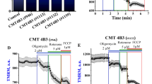 Glutathione deficiency in patients with mitochondrial disease: Implications  for pathogenesis and treatment | Journal of Inherited Metabolic Disease |  Springer Nature Link
