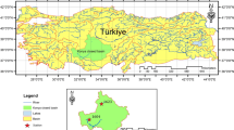 Improving Short-term Daily Streamflow Forecasting Using an Autoencoder ...