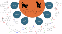 Crystal structure of a theta‐class glutathione transferase. | The EMBO Journal