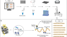 Design and Synthesis of DNA Origami Nanostructures to Control TNF ...