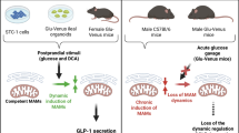 glutamine glp 1 Glutamine potently stimulates glucagon-like peptide-1 secretion from GLUTag  cells | Diabetologia