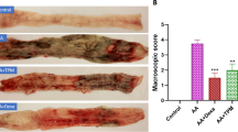 Effects of L-Carnitine on Oxidant/Antioxidant Status in Acetic Acid-Induced  Colitis | Digestive Diseases and Sciences | Springer Nature Link