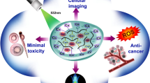 In Vivo and In Vitro Biocompatibility Study of CuS Nanoparticles ...