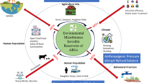 The Role of the Environmental Microbiome in Modulating the Spread of ...