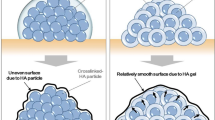 Comparative Evaluation of Safety and Efficacy of a Novel Hyaluronic ...