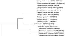 importance of research in environmental science importance of research in environmental science