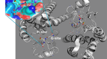 glutathione versu glutamine Glutamine vs. Glutathione: Their Relationship and Glutamate's Role   Troscriptions