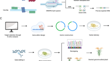 functional genomics research
