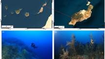 Decline of a distinct coral reef holobiont community under ocean ...