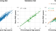Cortical Thinning at Midlife: The PATH Through Life Study | Brain ...