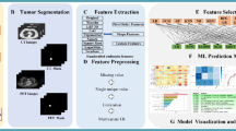 EGFR Mutation Prediction Using F18-FDG PET-CT Based Radiomics Features ...