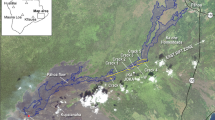 mount etna 2002 eruption case study