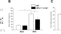 glutathione and obesity Glutathione Peroxidase 1: Models for Diabetes and Obesity