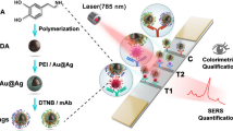 Charge-mediated directed assembly of Pt nanoshell on PDA: colorimetric ...