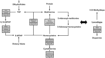 Parkinson's disease and vitamins: a focus on vitamin B12 | Journal of  Neural Transmission | Springer Nature Link