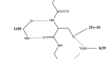 cowan human glutaredoxin 3 glutathione Structural Insight into Poplar C1 with a Bridging IronSulfur Cluster at the Active Site, Role of protein-glutathione contacts in