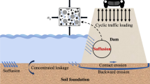 A CFD–DEM study on the suffusion and shear behaviors of gap-graded ...