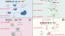 functional genomics research