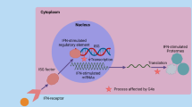 RNA G-quadruplexes in oncogene regulation and as emerging targets for ...