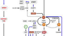 research on plant metabolomics