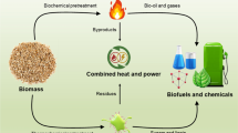 biomass energy essay