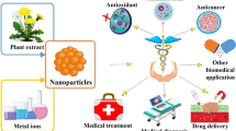 thesis topics for nanomaterials