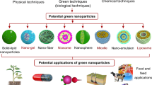 silver nanoparticles thesis pdf