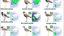How Does Predator Type Affect Mobbing Behavior in Birds: Surprising Insights