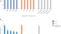 UV-C treatment has a higher efficacy on reducing germination of spores ...