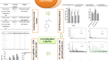 Metabolism of acetaminophen (paracetamol) in plants—two independent  pathways result in the formation of a glutathione and a glucose conjugate |  Environmental Science and Pollution Research