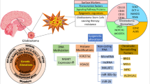 Exploring Neural Stem Cell Therapies as Innovative Treatments for ...