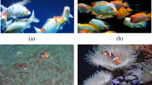 A detection-regression based framework for fish keypoints detection ...