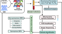 l carnitine and autism Effects of L-carnitine and creatine at 0.05 and 0.1 mM individually or main image 1
