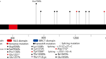The prevalence of BRCA1 and BRCA2 germline mutations in high-risk ...
