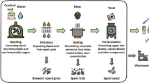 The impact of brewers' spent grain type on the structure and ...