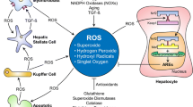 The effect of thioctic acid on the activity of the antioxidant glutathione-dependent  system under conditions of toxic hepatitis in rats | Biochemistry (Moscow),  Supplement Series B: Biomedical Chemistry | Springer Nature Link