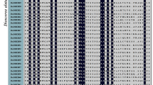 Genome-wide identification and expression analysis of DREB family genes ...