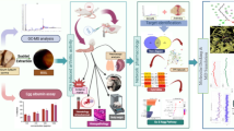 Aloe vera gel homogenate shows anti-inflammatory activity through lysosomal  membrane stabilization and downregulation of TNF- and Cox-2 gene  expressions in inflammatory arthritic animals | Future Journal of  Pharmaceutical Sciences | Springer Nature