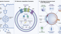 The Aging Eye and the Role of L-Carnitine and its Derivatives | Drugs in R&D