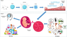 role of placenta during pregnancy essay