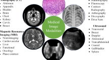 research papers on medical image processing