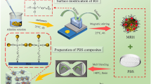 Fully biodegradable composites from poly (butylene succinate) modified ...