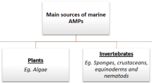 marine environmental research