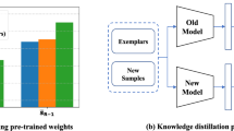 Bidirectional Knowledge Distillation for Unsupervised Lifelong Person ...