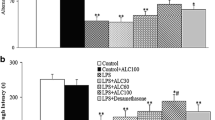 Acetyl-l-Carnitine in the Treatment of Peripheral Neuropathies: A Narrative  Review | Pain and Therapy | Springer Nature Link