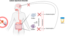 The Role of Dietary Peptides Gluten and Casein in the Development of Autism Spectrum Disorder: Biochemical Perspectives | Molecular Neurobiology | Springer Nature Link The Role of Dietary Peptides Gluten and Casein in the Development of Autism Spectrum Disorder: Biochemical Perspectives | Molecular Neurobiology | Springer Nature Link