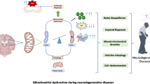 does glp-1 cross the blood brain barrier uptake pharmacokinetics of incretin receptor agonists showing promise as Alzheimer's and Parkinson's disease therapeutics GLP-1 Drugs and the Physiology