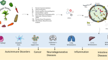 Plant-derived extracellular vesicles as tools and targets for ...