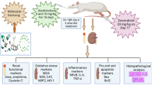 dihexa neurotrophic effects Dihexa (PNB-0408) | c-Met/HGFR Activator